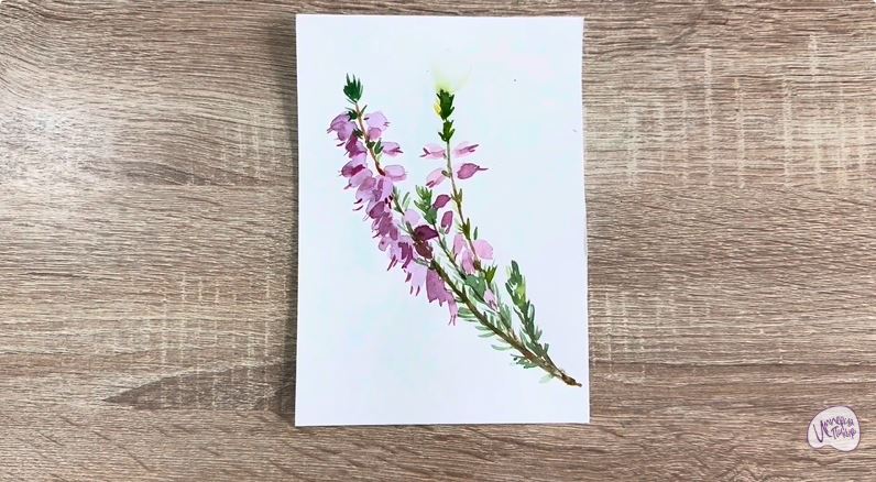 Рисуем Вереск Рисуем Вереск