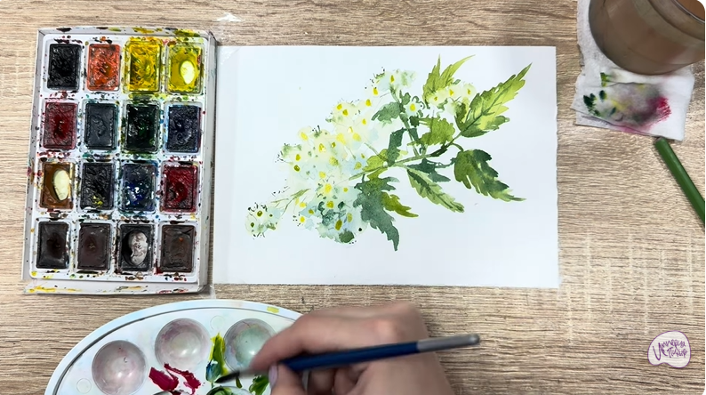 Рисуем Таволга