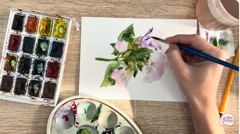 Рисуем Алтей лекарственный