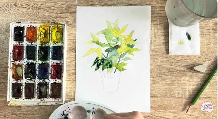 Рисуем Аукуба японская