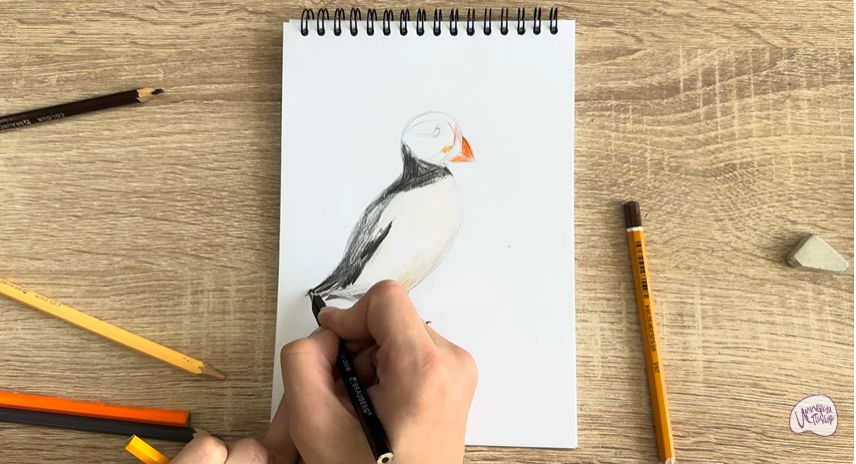 Рисуем Птица тупик