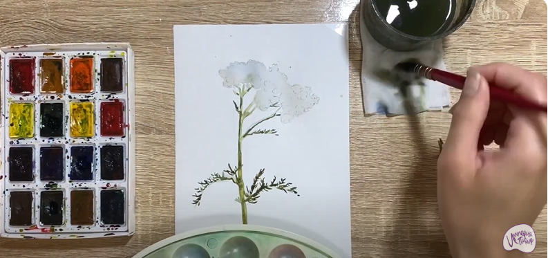 Рисуем Тысячелистник