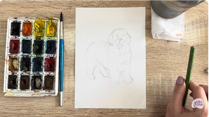 Рисуем Собака породы Ньюфаундленд