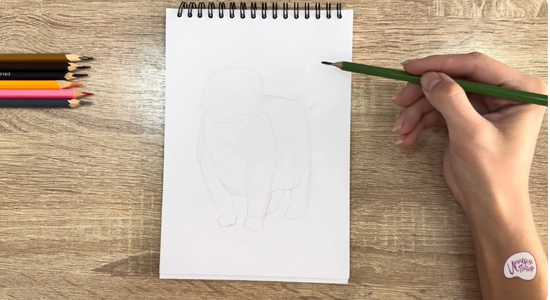 Рисуем Кошка породы "Манчкин"