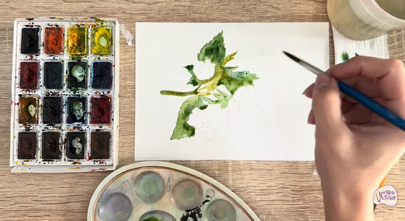 Рисуем Алтей лекарственный