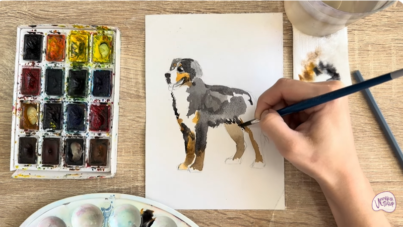 Рисуем Собака породы Бернский зенненхунд