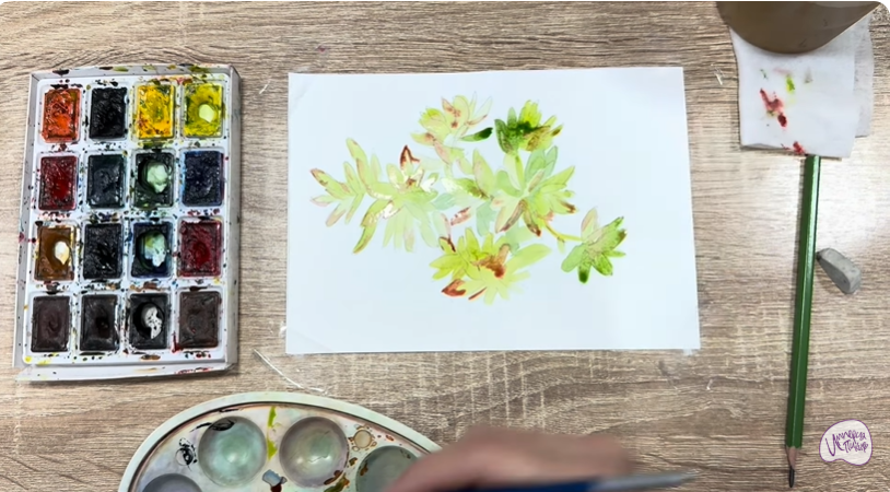 Рисуем Очиток