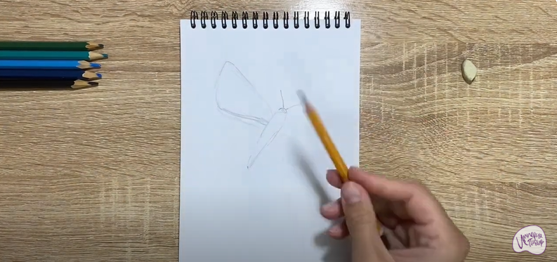 Рисуем Бабочка "Голубянка"
