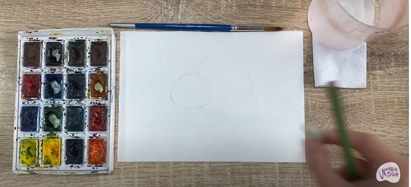 Рисуем Зизифус