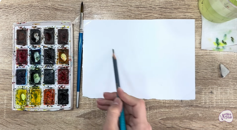 Рисуем Душица