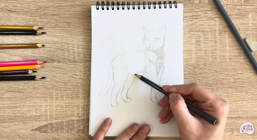 Рисуем Кошка Бурмилла