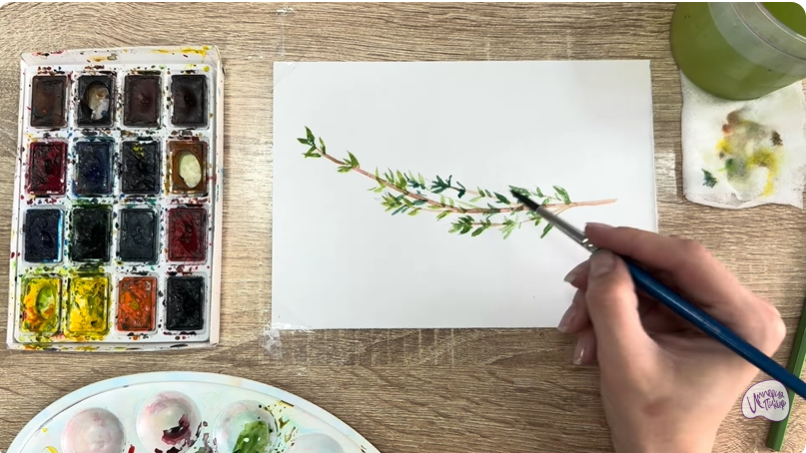 Рисуем Тимьян