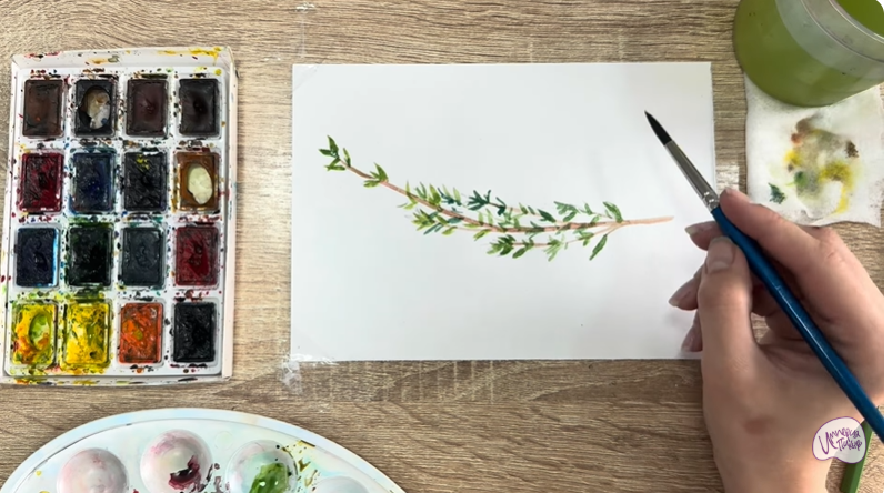 Рисуем Тимьян