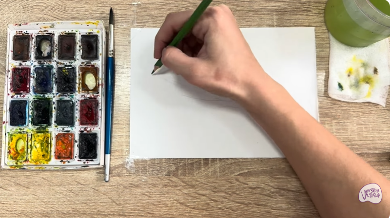 Рисуем Тимьян