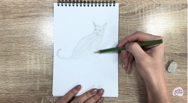 Рисуем Кот породы "Корат"