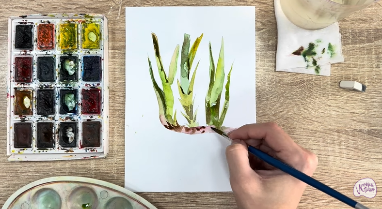 Рисуем Аир болотный