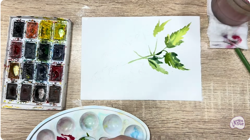 Рисуем Таволга