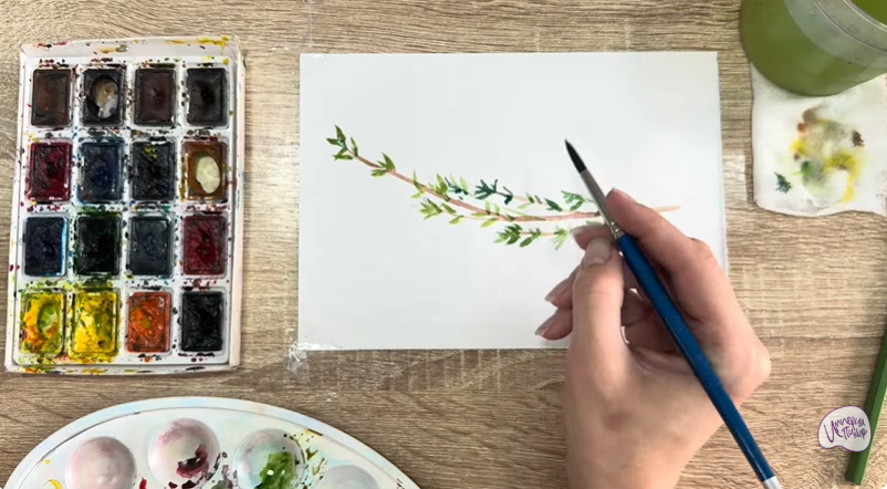 Рисуем Тимьян