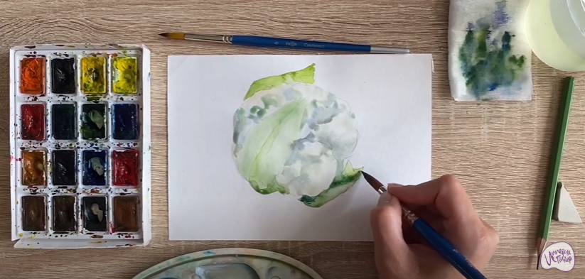 Рисуем Цветная капуста