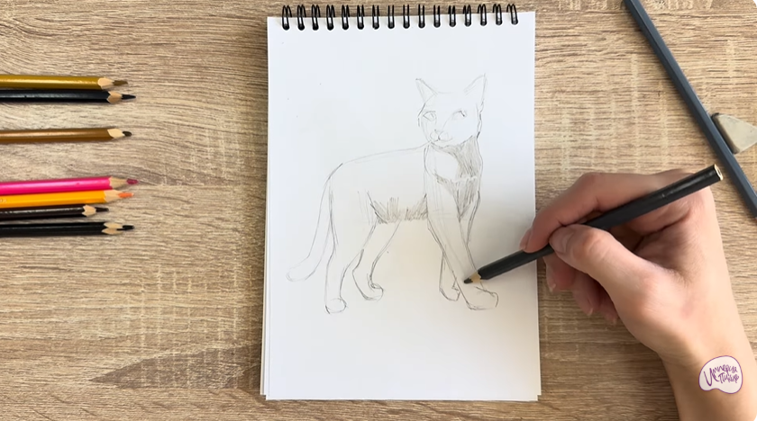 Рисуем Кошка Бурмилла