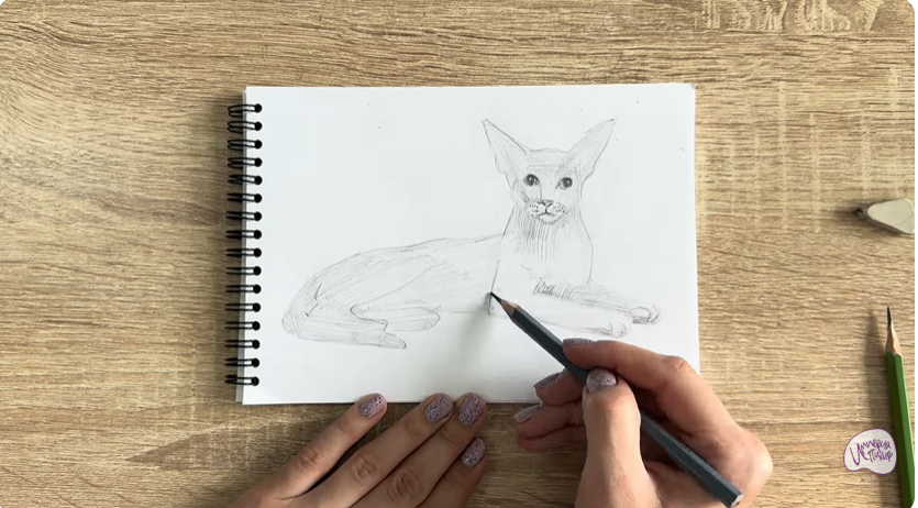 Рисуем Ориентальная кошка