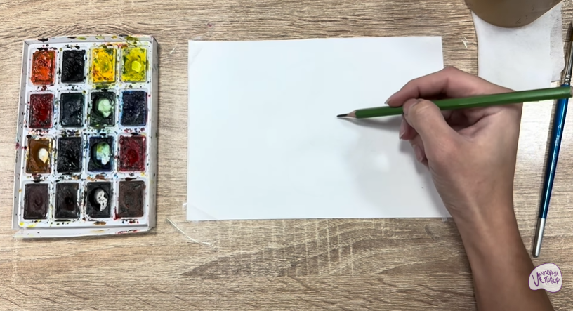 Рисуем Очиток