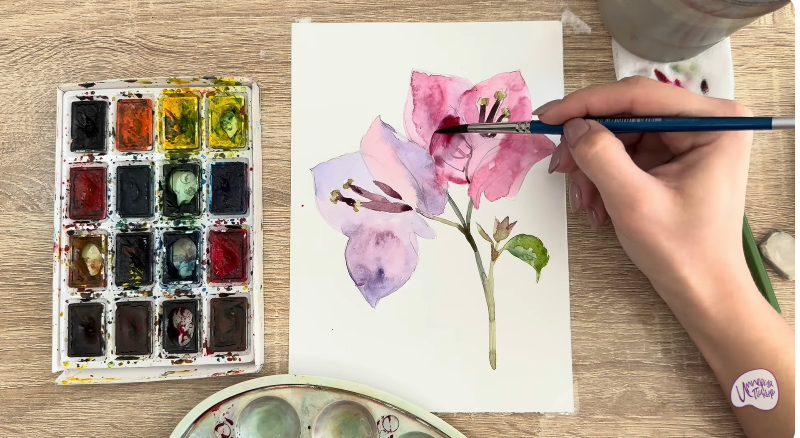 Рисуем Бугенвиллея