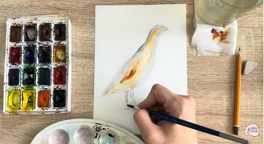 Рисуем Коростель