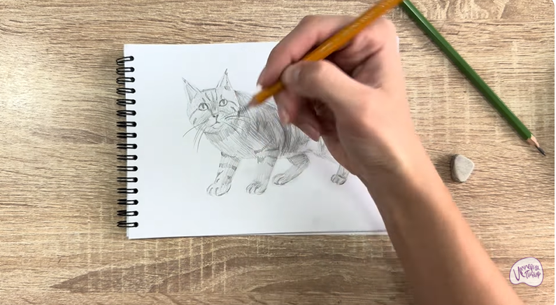 Рисуем Пиксибоб