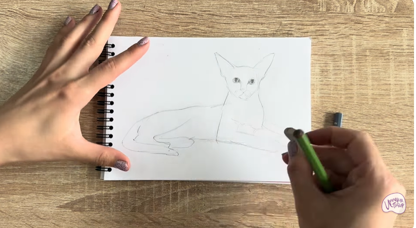 Рисуем Ориентальная кошка