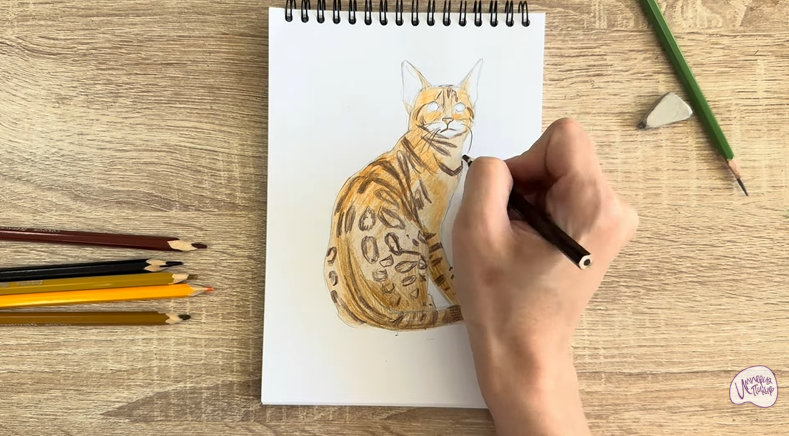 Рисуем Кошка Тойгер