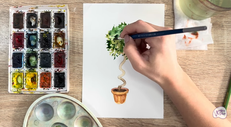 Рисуем Мирт обыкновенный