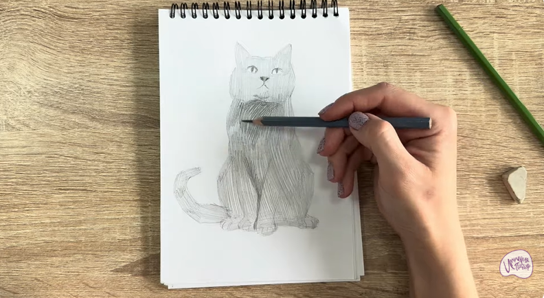 Рисуем Кот породы Шартрез