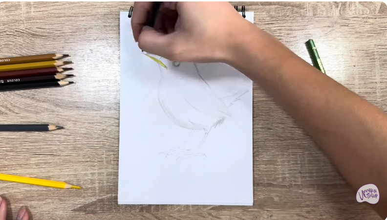 Рисуем Крапивник