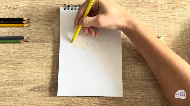 Рисуем Древесница въедливая