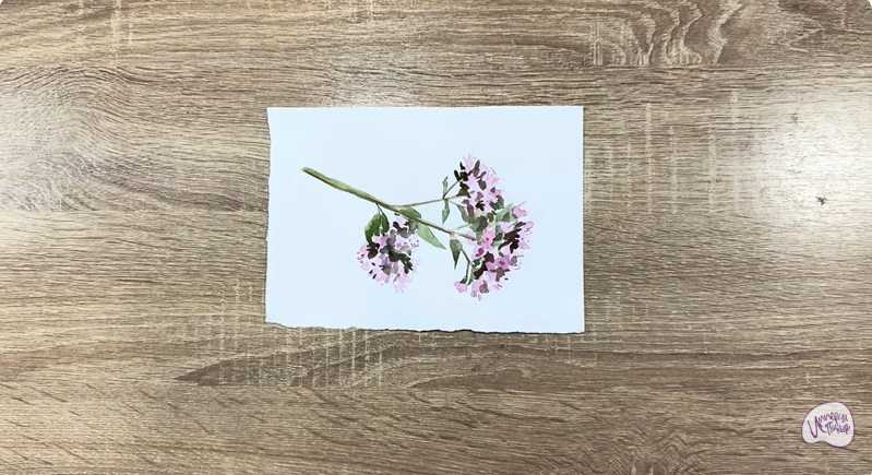 Рисуем Душица