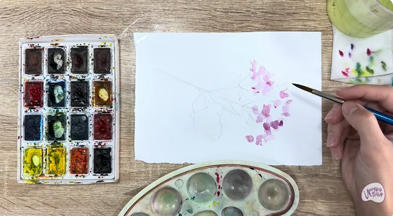 Рисуем Душица