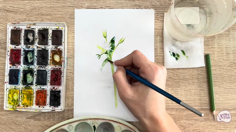 Рисуем Ясколка длинноволосая