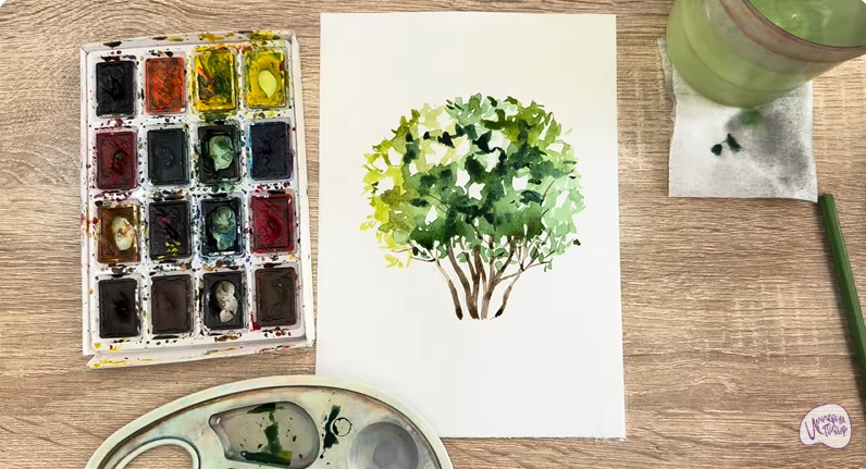 Рисуем Саженец бирючины