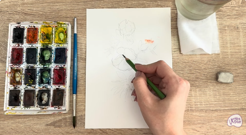 Рисуем Лапчатка