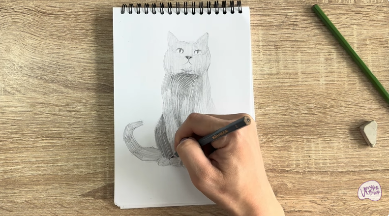 Рисуем Кот породы Шартрез