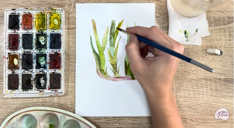 Рисуем Аир болотный