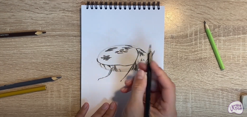 Рисуем Кожеед