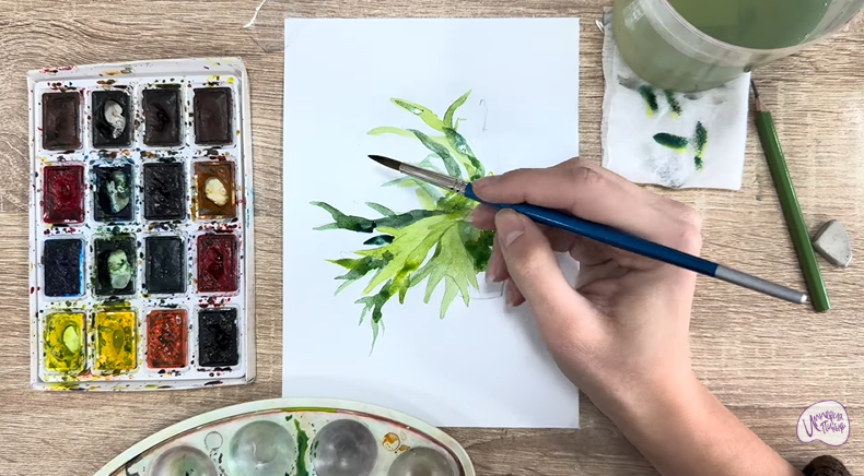 Рисуем Платицериум в горшке