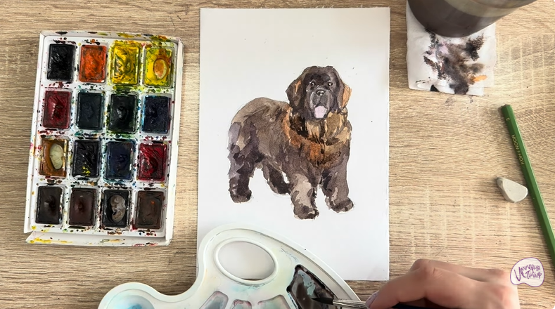 Рисуем Собака породы Ньюфаундленд