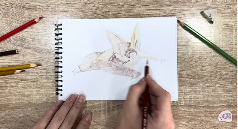 Рисуем Бурый ушан