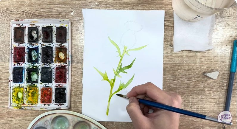 Рисуем Бодяк