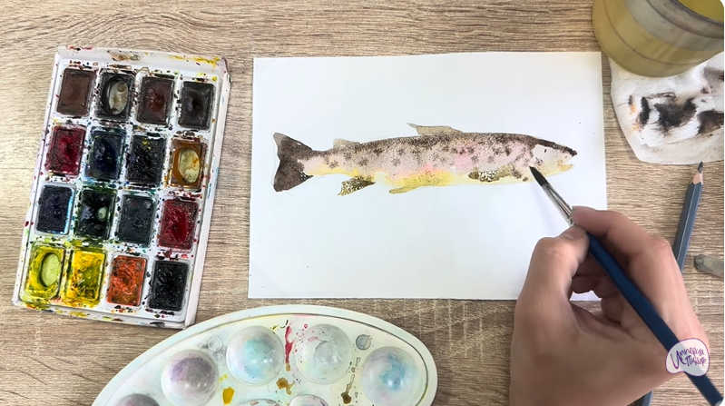 Рисуем Кумжа