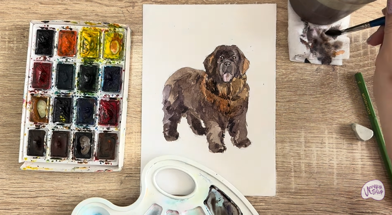 Рисуем Собака породы Ньюфаундленд