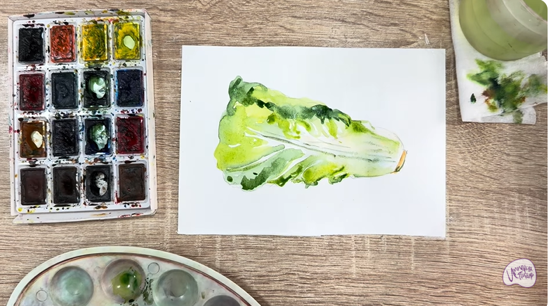 Рисуем Пекинская капуста